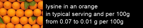 lysine in an orange information and values per serving and 100g